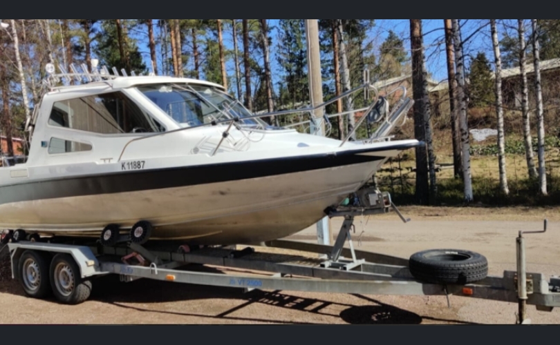 Silver Muu malli-kuva-1